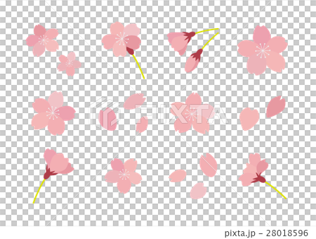 櫻桃例證集合 櫻桃例證集合 28018596