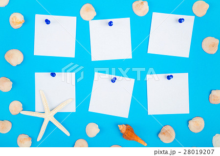 Frame of seashell, paper noted on blue background 28019207