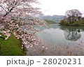 桜咲く池の畔 28020231