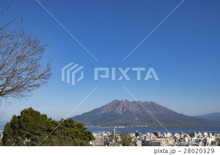 桜島-城山からの風景 桜島-城山からの風景 28020329