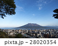 桜島－城山からの風景 28020354