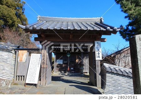 久能山徳音院 28020581