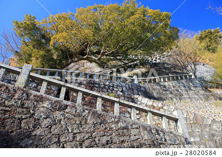 久能山東照宮 表参道石段 久能山東照宮 表参道石段 28020584