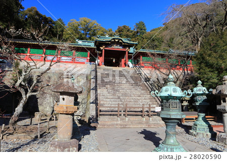 久能山東照宮 唐門 久能山東照宮 唐門 28020590