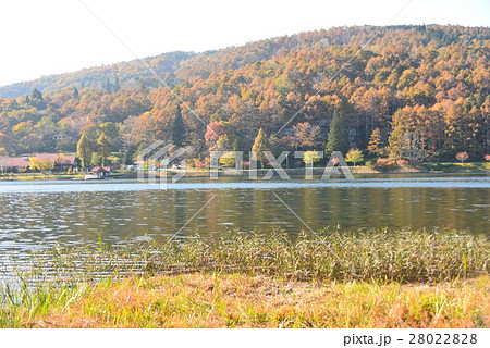 晩秋の聖湖 28022828