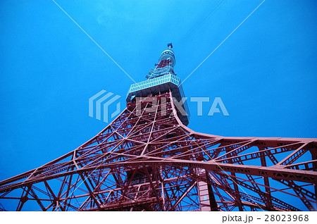 東京タワー 28023968
