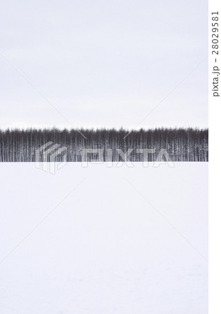 北の大地 28029581