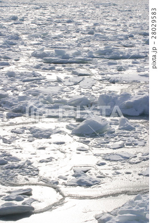 北海道　流氷の海 28029583