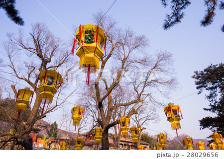 Hanging chinese Lantern at park outdoors 28029656