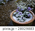 雪、ふりはじめる 28029883