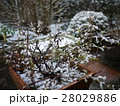 雪、ふりはじめる 28029886