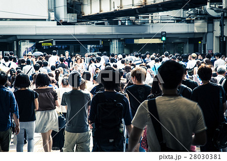 横断歩道を渡る大勢の人々 日本人 横断歩道を渡る大勢の人々 日本人 28030381