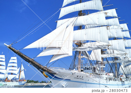富山 新旧海王丸総帆展帆の写真素材