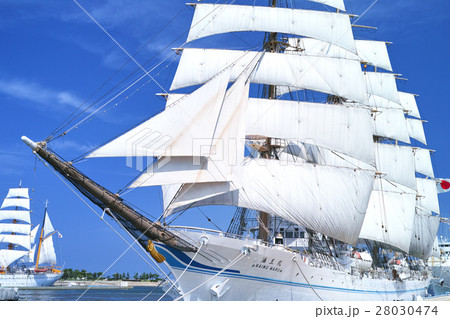 富山_新旧海王丸総帆展帆 28030474