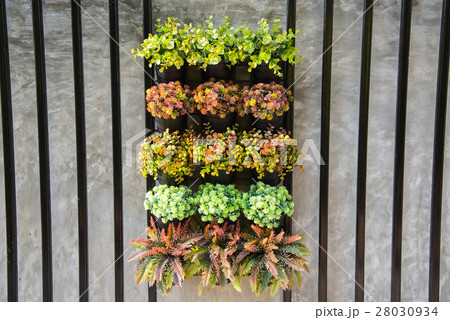 Group of Moist and small tree in a clay pot,small garden decorat Group of Moist and small tree in a clay pot,small garden decorat 28030934