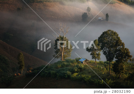 Misty aerial view in morning winter Misty aerial view in morning winter 28032190