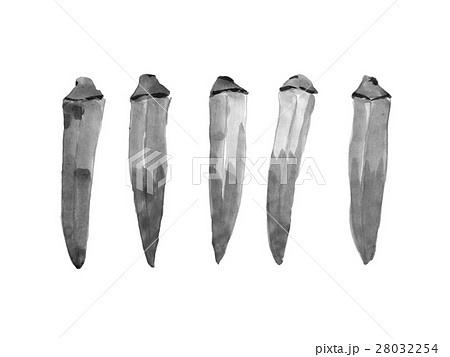 オクラ やさい 水墨画のイラスト素材 28032254 Pixta