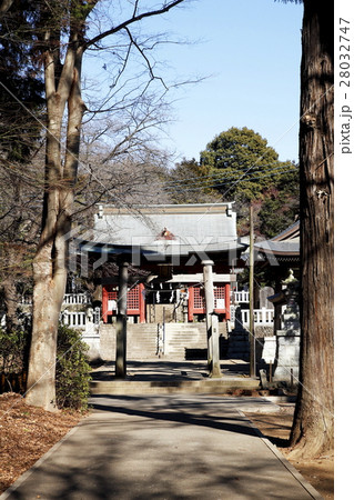 箭幹八幡宮（やがらはちまんぐう：矢部町） 28032747