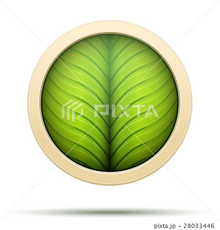 Leaves round Icon Vector Leaves round Icon Vector 28033446