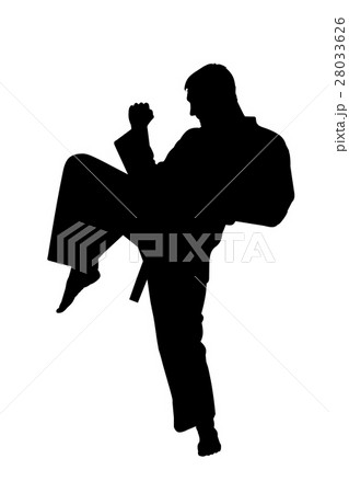 Sport Silhouette, Karate Kick Sport Silhouette, Karate Kick 28033626