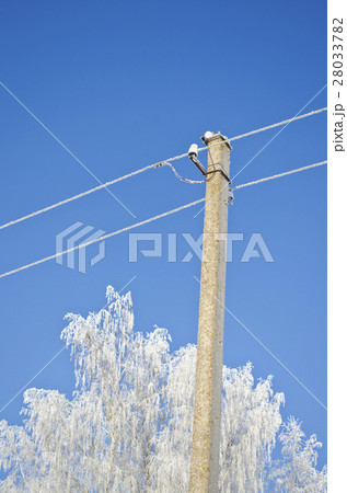 hoarfrost covered electicity pole and tree hoarfrost covered electicity pole and tree 28033782