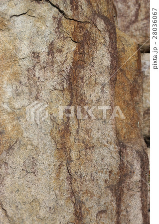 荒い岩肌 28036067