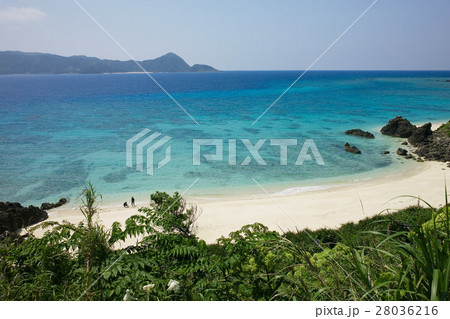 奄美大島 崎原ビーチから今井崎を望む 鹿児島県の写真素材