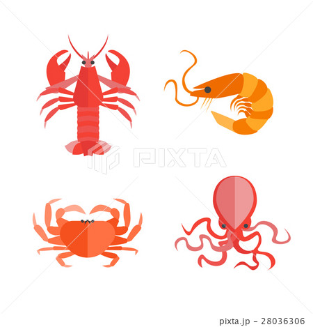 Set of Seafood. Vector 28036306