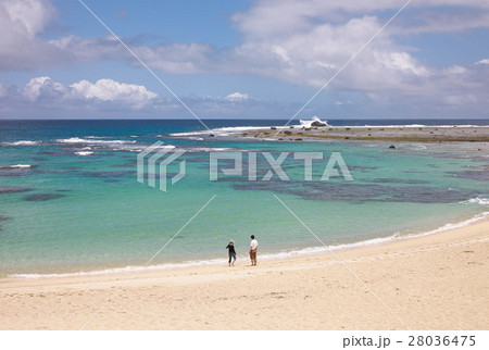 エメラルグリーンの海、奄美大島土盛（ともり）海岸、鹿児島県 28036475