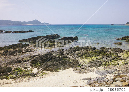 奄美大島、打田原(うったばる)の岩場の海、鹿児島県 奄美大島、打田原(うったばる)の岩場の海、鹿児島県 28036702