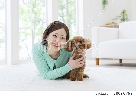 部屋で寝転ぶ女性とトイプードル 28036768