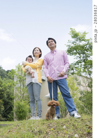 日本人の家族とトイプードル 日本人の家族とトイプードル 28036817