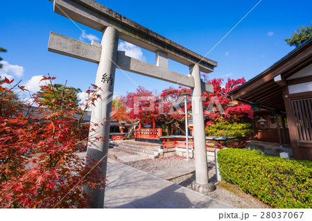 京都 車折神社の紅葉 京都 車折神社の紅葉 28037067
