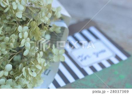 フラワーギフト 28037369