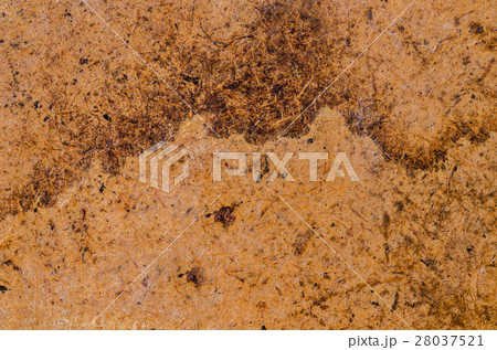 grunge background with space. 28037521