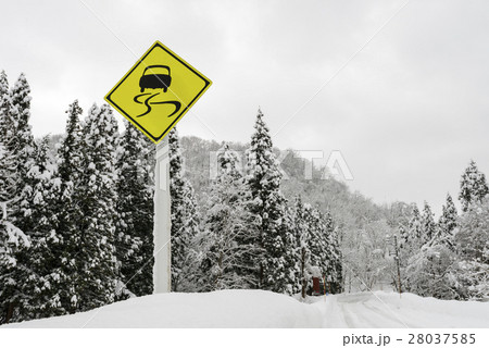 雪道 28037585