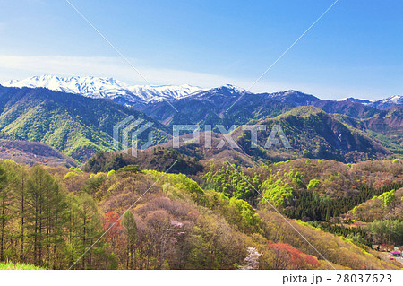 里山の春 28037623