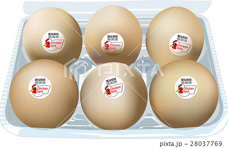 パックに入った6個入りたまご 28037769