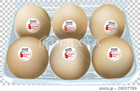 パックに入った6個入りたまご 28037769