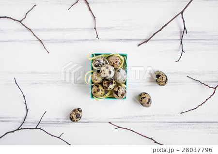 Easter quail eggs in bright box. Flat lay top view 28037796