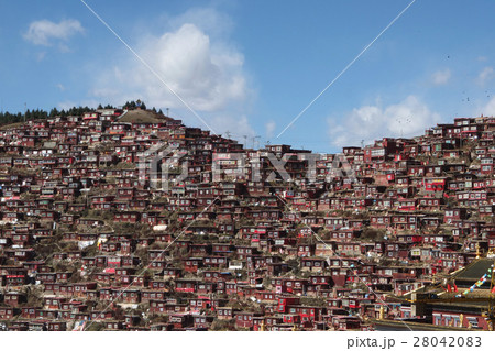 2017年 ラルンガルゴンパ／喇栄五明佛学院／Larung Gar 28042083