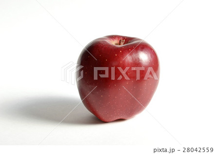 リンゴ（おいらせ） 28042559