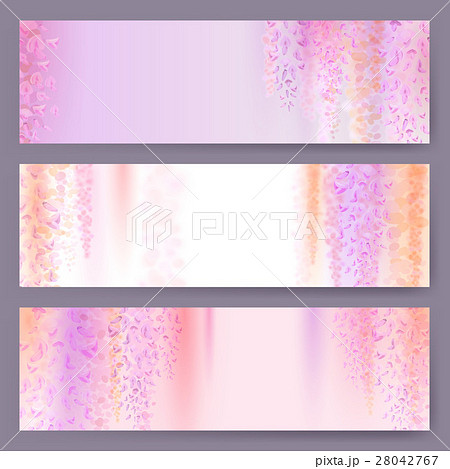 Spring background with blooming wisteria Spring background with blooming wisteria 28042767