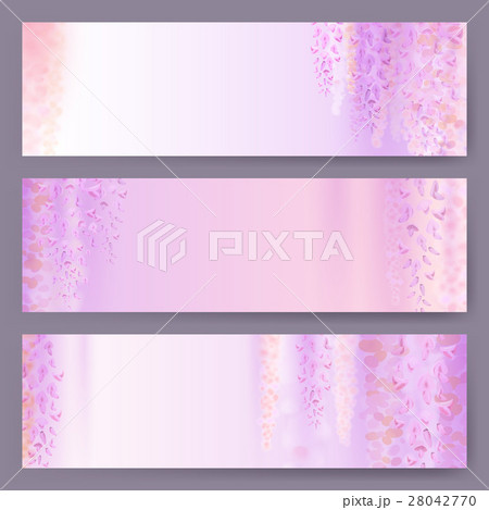 Spring background with blooming wisteria Spring background with blooming wisteria 28042770
