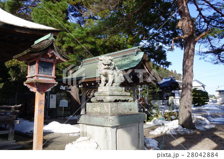 白髭神社の狛犬 白髭神社の狛犬 28042884