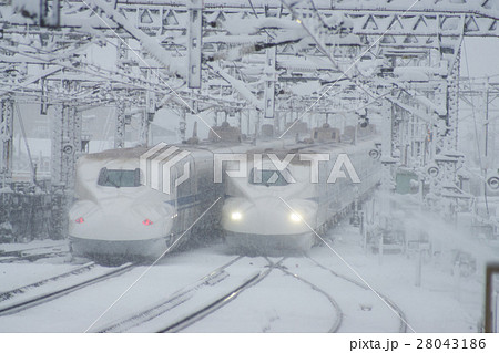 雪の米原駅ですれ違うN700系 28043186