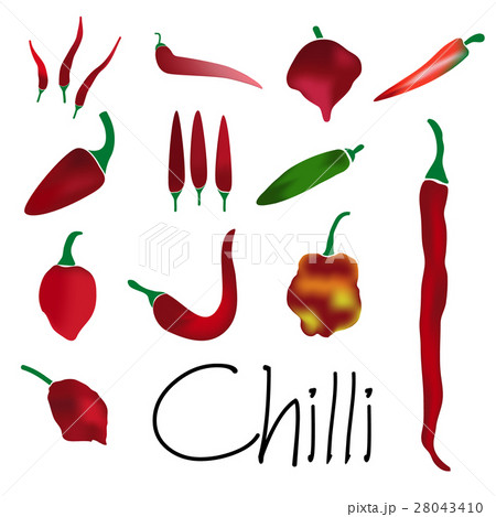 chilli peppers types colorful collection eps10 28043410