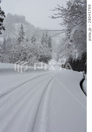 雪道 28043769