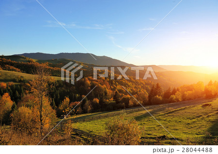Autumn landscape 28044488