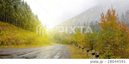 Road in the mountain forest Road in the mountain forest 28044591
